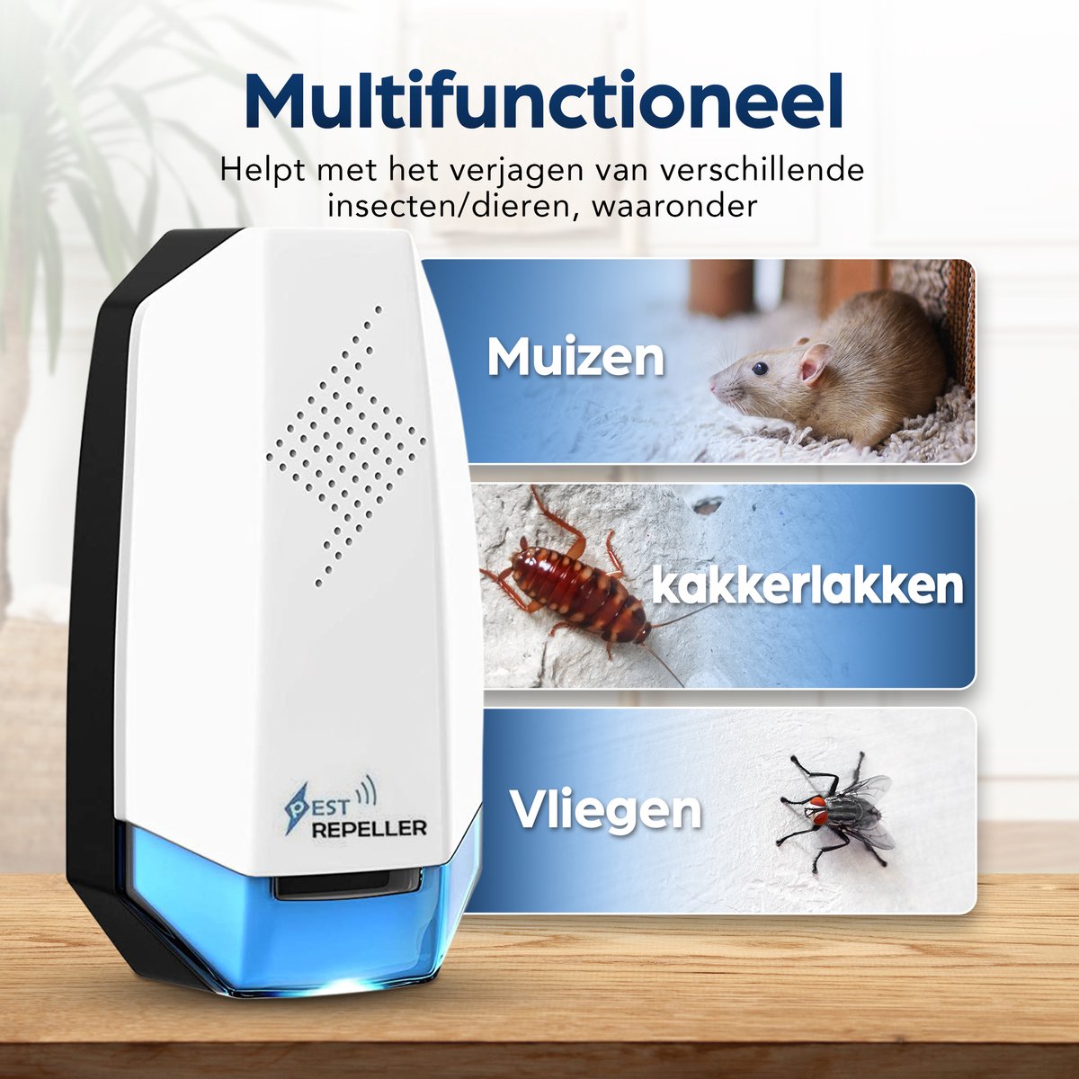 Beste middel tegen kakkerlakken Beste middel tegen kakkerlakken