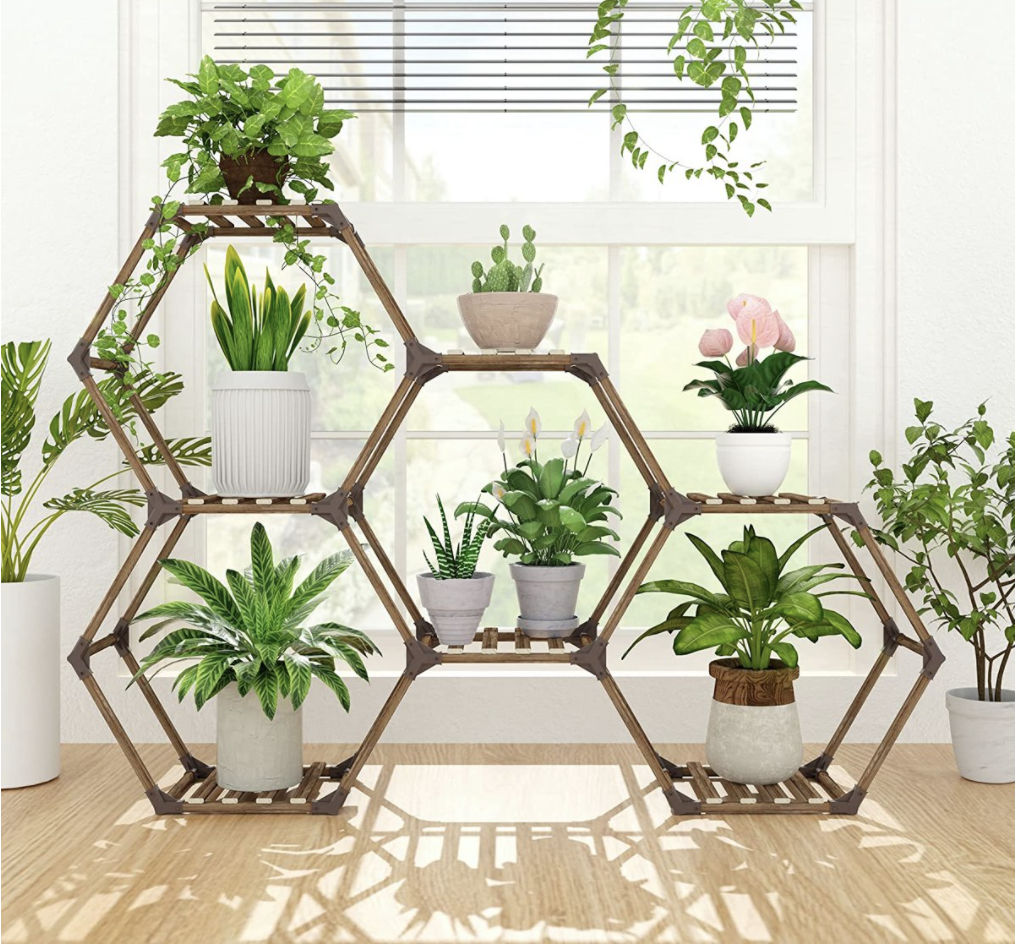 Beste Plantentafel [Test 2026]