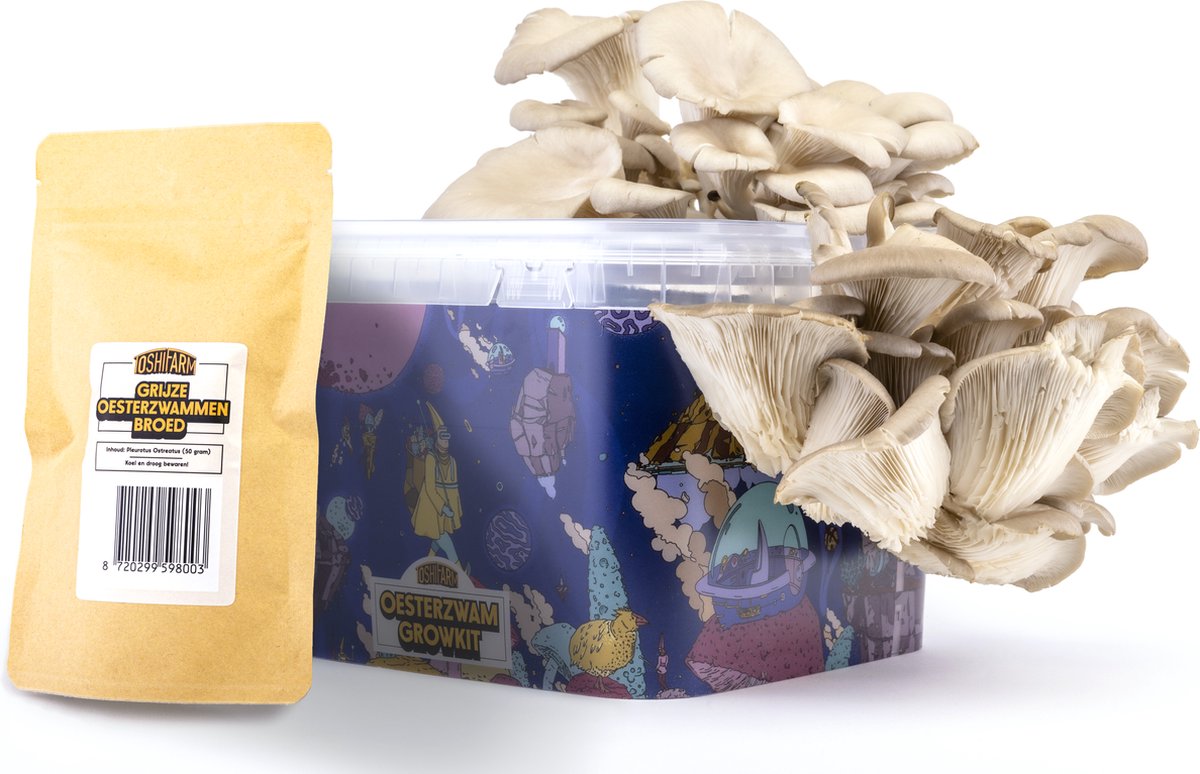 Oesterzwam Growkit - Zelf paddestoelen kweken op koffiedik - Paddenstoelen Kweekset Oesterzwam Growkit - Zelf paddestoelen kweken op koffiedik - Paddenstoelen Kweekset