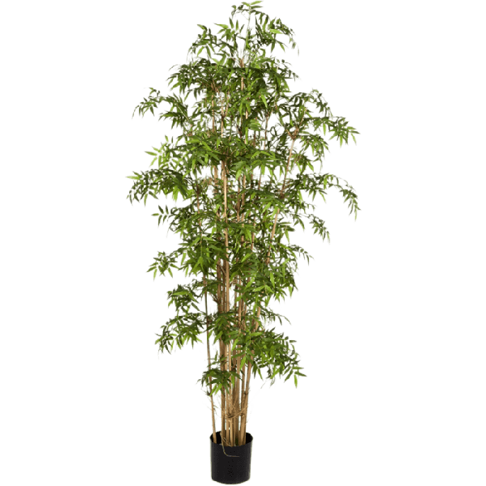 Beste Kunstplanten [Test 2026]