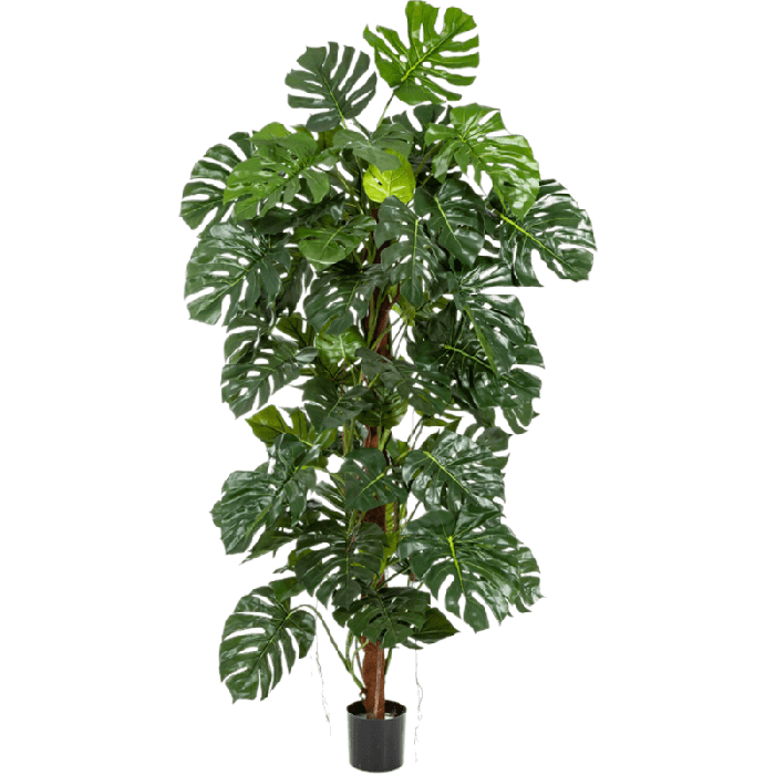 Beste Kunstplanten [Test 2026]